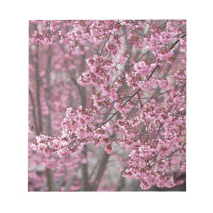 Sakura Cherry Blommars Flowing Rosa Anteckningsblock
