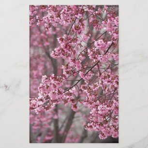 Sakura Cherry Blommars Flowing Rosa Brevpapper