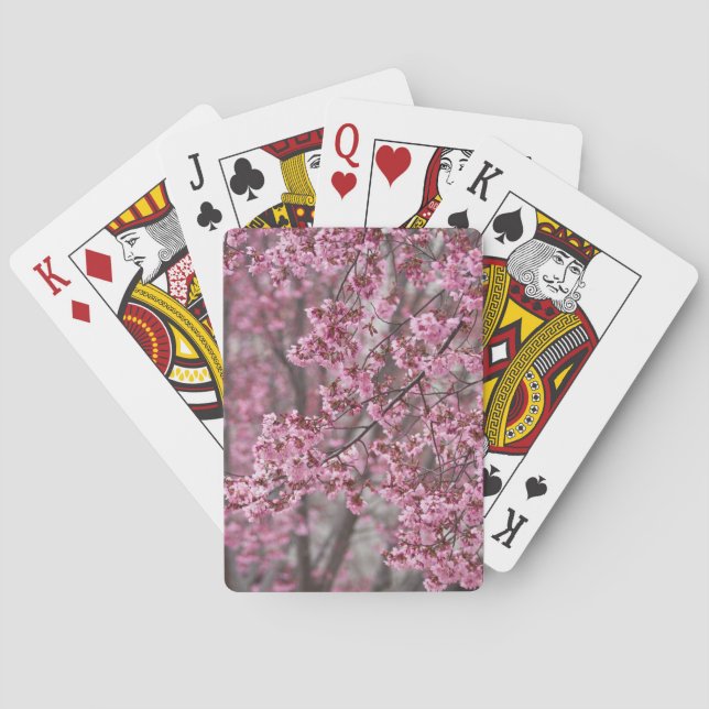 Sakura Cherry Blommars Flowing Rosa Casinokort (Baksidan)