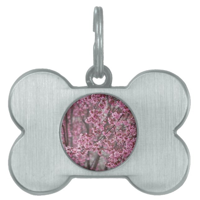 Sakura Cherry Blommars Flowing Rosa Namnbricka Husdjur (Framsidan)