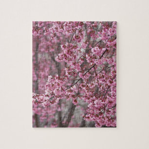 Sakura Cherry Blommars Flowing Rosa Pussel