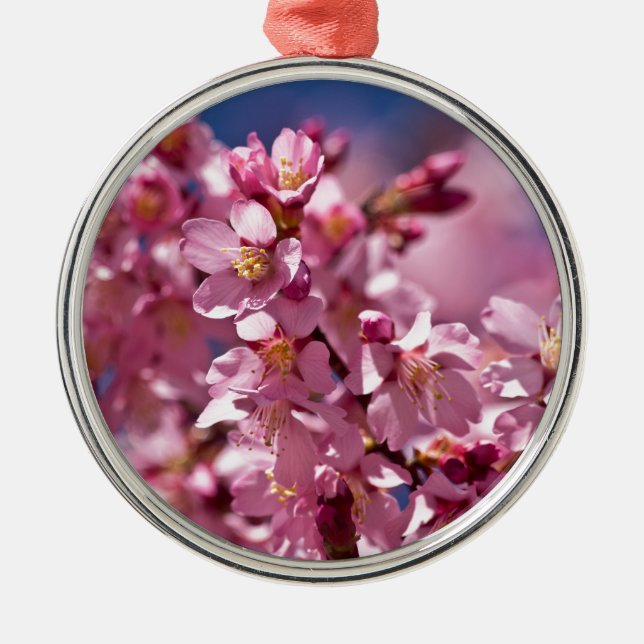Sakura Cherry Blommars Kissed by Sunlight Julgransprydnad Metall (Framsidan)
