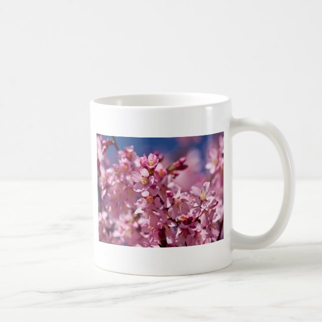 Sakura Cherry Blommars Kissed by Sunlight Kaffemugg (Höger)