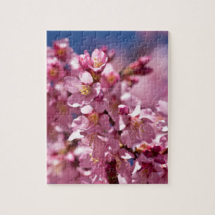 Sakura Cherry Blommars Kissed by Sunlight Pussel