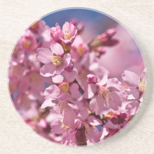 Sakura Cherry Blommars Kissed by Sunlight Underlägg Sandsten