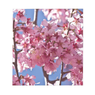 Sakura Cherry Blommars Red Stars Anteckningsblock