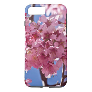Sakura Cherry Blommars Red Stars