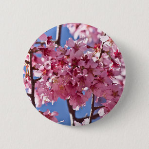 Sakura Cherry Blommars Red Stars Knapp