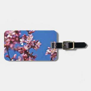 Sakura Cherry Blommars Touching Blue Bagagebricka