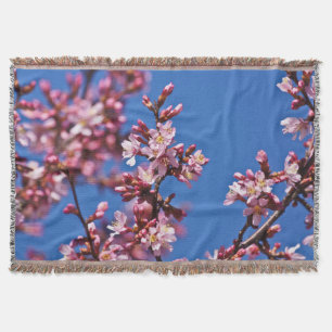 Sakura Cherry Blommars Touching Blue Mysfilt