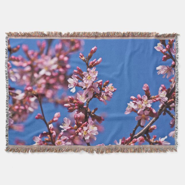 Sakura Cherry Blommars Touching Blue Mysfilt (Framsidan)