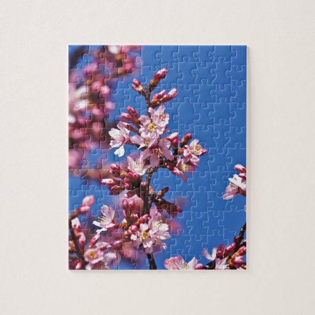 Sakura Cherry Blommars Touching Blue Pussel (Vertikal)