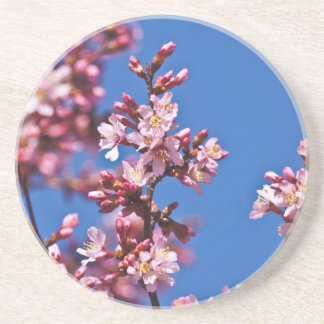 Sakura Cherry Blommars Touching Blue Underlägg