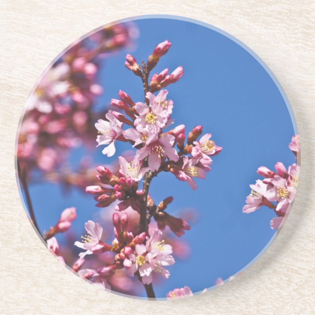 Sakura Cherry Blommars Touching Blue Underlägg (Framsidan)