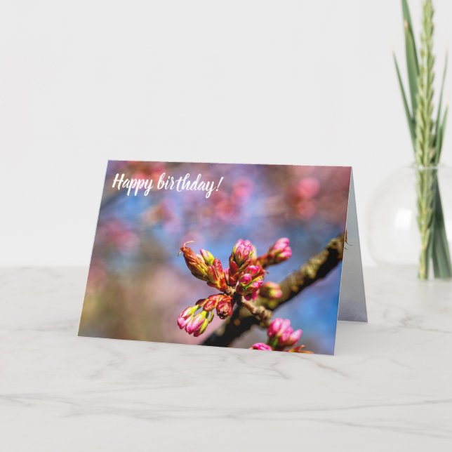 Sakura Cherry Träd Buds. Vår i början Kort (Framsida)