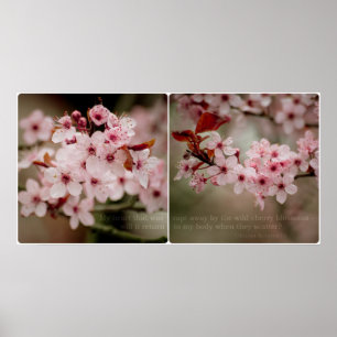Sakura Diptych Affisch