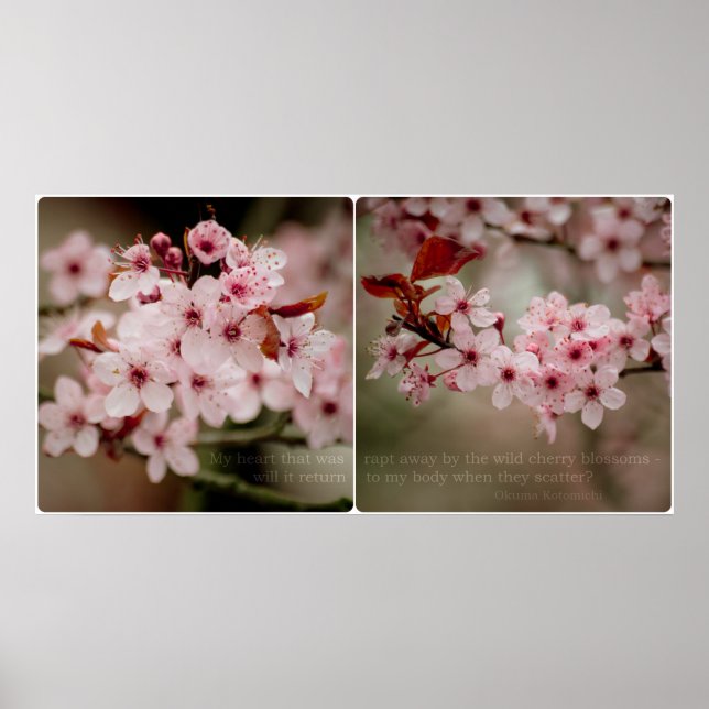 Sakura Diptych Affisch (Framsidan)