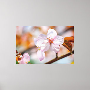 Sakura Flowers and Orange Löv in Springtime Canvastryck