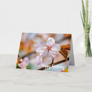 Sakura Flowers and Orange Löv in Springtime Kort