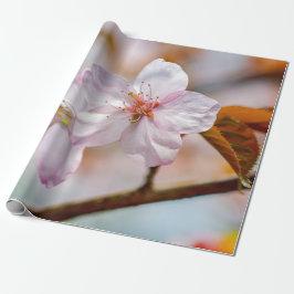 Sakura Flowers and Orange Löv in Springtime Presentpapper