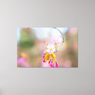 Sakura Flowers på en tipp av twig. Time Helix Canvastryck
