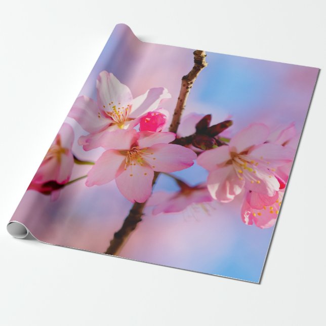 Sakura Flowers på ett Lodrät Twig Presentpapper (Utrullad)