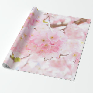 Sakura för rosa träd körsbärsröd blommar presentpapper