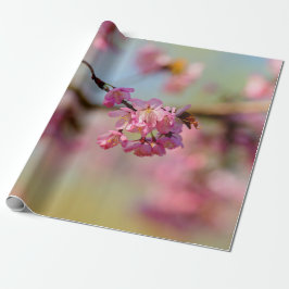 Sakura Gardens magiska Färg Presentpapper