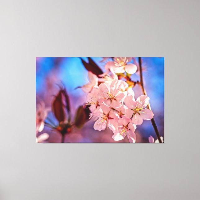 Sakura i Träd Canvastryck (Framsida)
