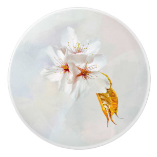 Sakura - Japansk körsbärsblomma Knopp