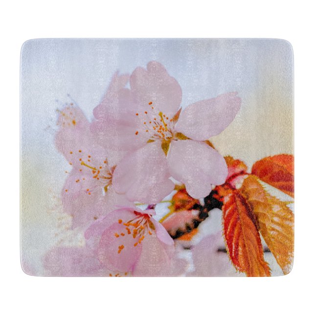 Sakura - Japansk körsbärsblommar (Framsidan)