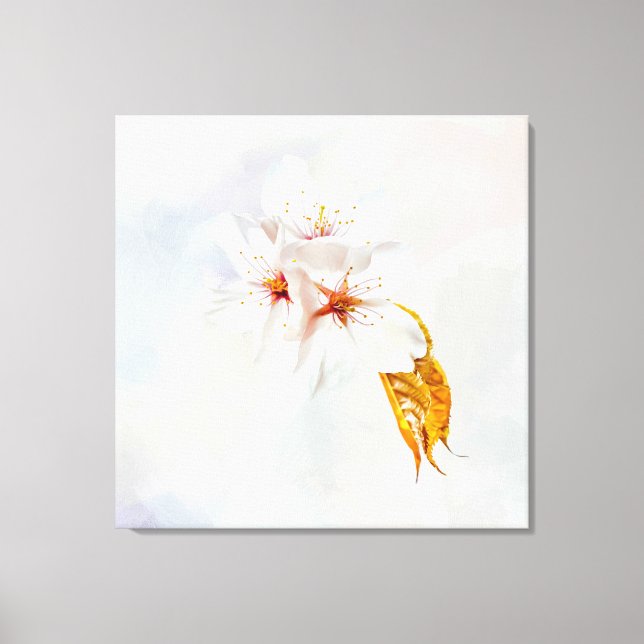 Sakura - Japansk körsbärsblommar Canvastryck (Framsida)