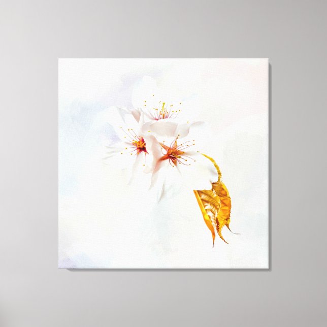 Sakura - Japansk körsbärsblommar Canvastryck (Framsida)