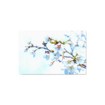 Sakura - Japansk körsbärsBlommar