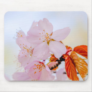 Sakura - Japansk körsbärsblommar Musmatta
