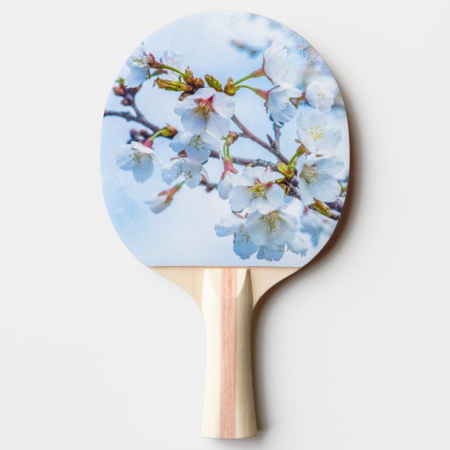 Sakura - Japansk körsbärsBlommar Pingisracket (Baksidan)