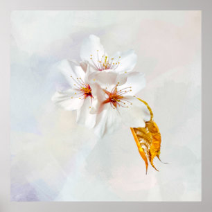 Sakura - Japansk körsbärsblommar Poster
