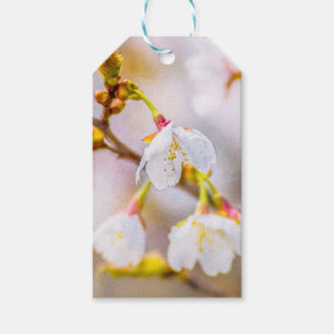 Sakura - Japansk körsbärsBlommar Presentetikett