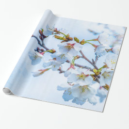 Sakura - Japansk körsbärsBlommar Presentpapper