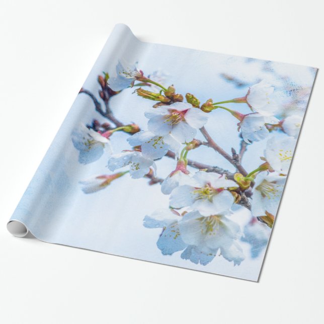 Sakura - Japansk körsbärsBlommar Presentpapper (Utrullad)