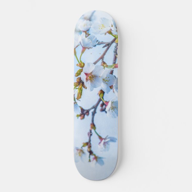 Sakura - Japansk körsbärsBlommar Skateboard Bräda 19,5 Cm (Framsida)