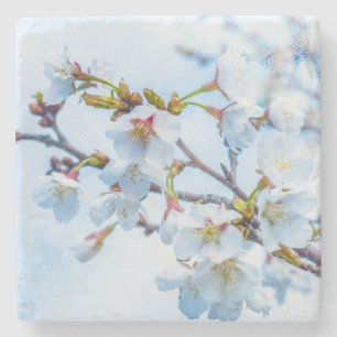 Sakura - Japansk körsbärsBlommar Underlägg Sten