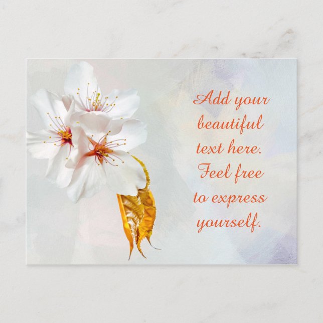 Sakura - Japansk körsbärsblommar Vykort (Framsida)