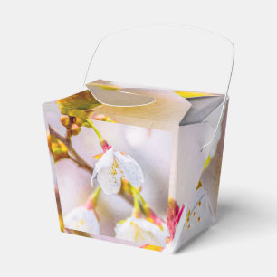 Sakura - japansk körsbärsröd blommar presentaskar