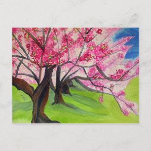 Sakura Japanska Cherry Blommar vattencolor art Vykort