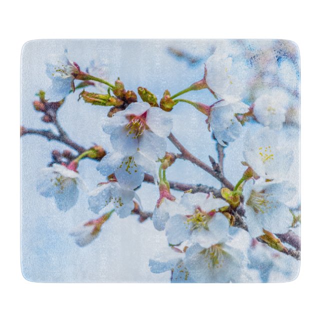 Sakura - Japanskt Körsbärsblom (Framsidan)