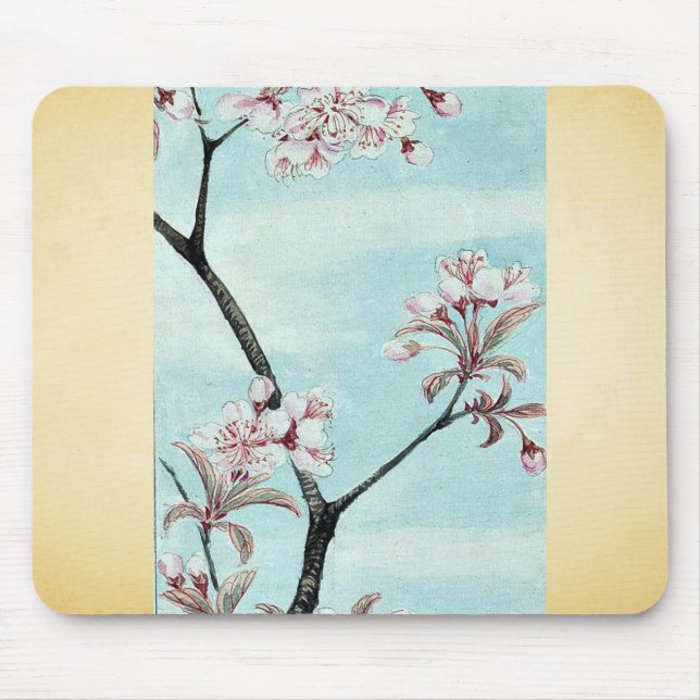 Sakura körsbär Ukiyo-e. Musmatta (Framsidan)