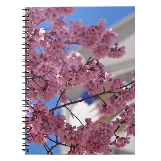 Sakura Körsbärsblom Amerikanska Anteckningsbok (Framsidan)