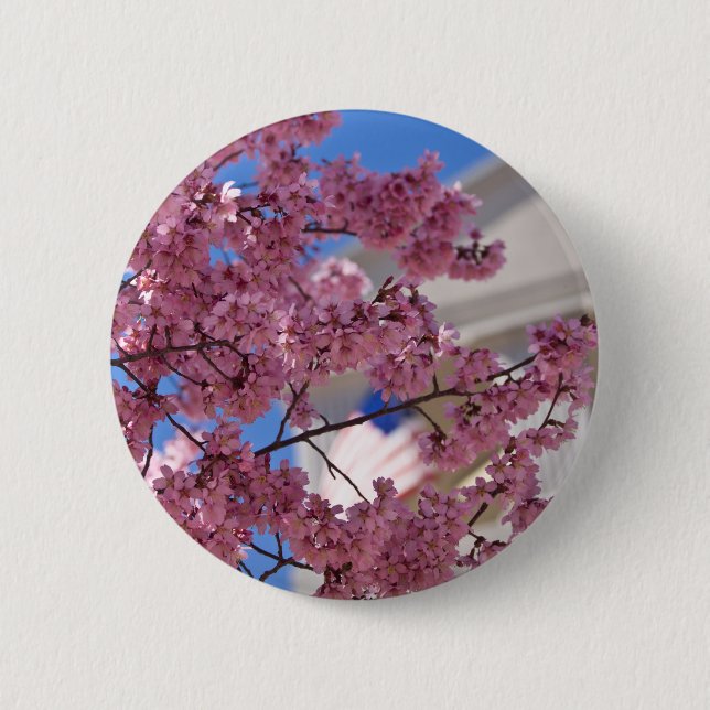 Sakura Körsbärsblom Amerikanska Knapp (Framsida)