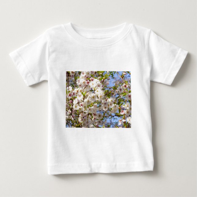Sakura Körsbärsblom Japan Kyoto Tee (Framsida)